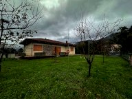 vendita casa singola Camaiore