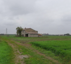 Vendita Casa singola Ravenna