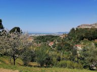 vendita casa singola Massa