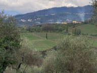 vendita casa singola Capannori
