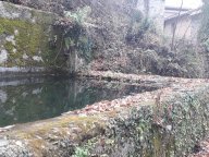 vendita casa singola Fivizzano