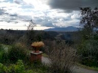 vendita casa singola Montopoli in Val d'Arno