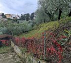 vendita casa singola San Miniato