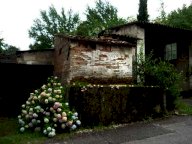 Vendita Casa singola Capannori
