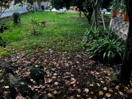 vendita villetta bifamiliare Carrara