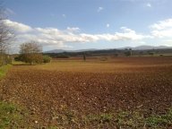 vendita villetta quadrifamiliare San Gimignano