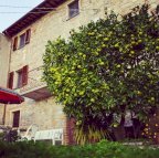 vendita casa semindipendente Camaiore