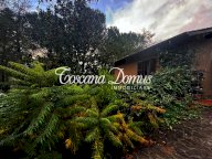 vendita casa singola Sovicille