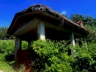 vendita casa singola Massa