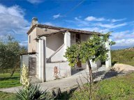 Vendita Casa singola Pofi