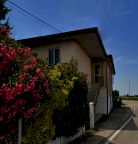Vendita Casa singola Villadose