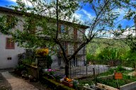 vendita casa semindipendente Tresana
