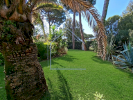 vendita villetta bifamiliare Camaiore