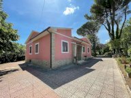 Vendita Casa singola Massa Martana