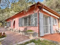 Vendita Casa singola Imperia