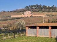 vendita casa semindipendente Suvereto