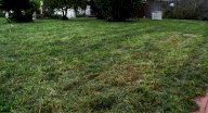 vendita villetta a schiera Cascina