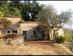 vendita casa singola Sarzana