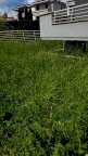 vendita villetta a schiera Empoli