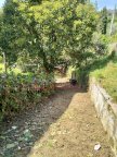 vendita villetta bifamiliare Camaiore