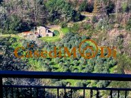vendita villetta a schiera Montecatini Val di Cecina