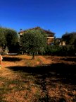 vendita casa singola Fosdinovo