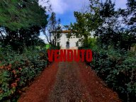 vendita casa singola Terricciola