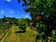 vendita casa singola San Giuliano Terme