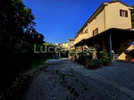 vendita casa singola Massarosa