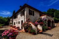 vendita casa singola Crespina Lorenzana