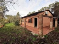 vendita casa singola Fucecchio