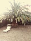 vendita villetta a schiera Calcinaia
