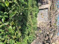 vendita box/posto auto Bientina