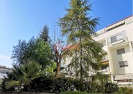 Vendita Garage Trani