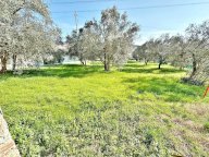 vendita terratetto Calenzano