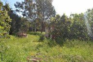 vendita terratetto Santa Maria a Monte