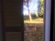 vendita terratetto Casciana Terme Lari