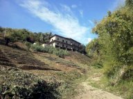 vendita stabile/palazzo Carrara