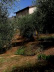 vendita terratetto Lucca