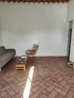 vendita terratetto Cascina
