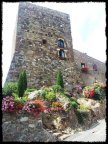 vendita stabile/palazzo Volterra