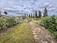 vendita terratetto Asciano