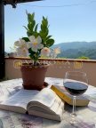 vendita terratetto Pescia