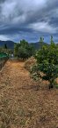 vendita terratetto San Giuliano Terme