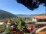 vendita terratetto Camaiore