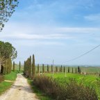 vendita terratetto Monteroni d'Arbia