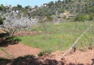 ARGENTARIO- Proprietà  terreno e rustico vicino alla spiaggia