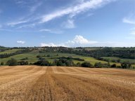 Vendita Rustico/Casale Todi