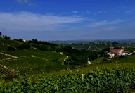 V Rustico Neviglie