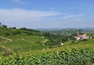 V Rustico Neviglie